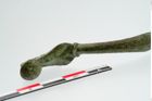 Foto von Bronzecertosafibel (NHMW-PRAE-024262)
